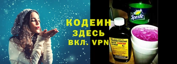 ешки Бородино