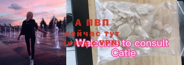 ешки Бородино