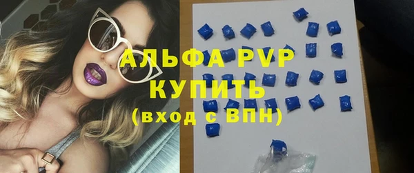 ешки Бородино