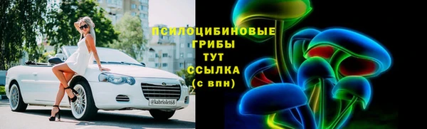 ешки Бородино