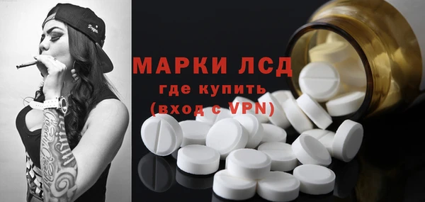 ешки Бородино