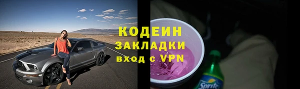 ешки Бородино