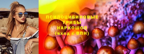 ешки Бородино